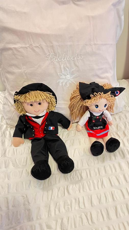 Gite Edelweiss A エーグイスハイム エクステリア 写真